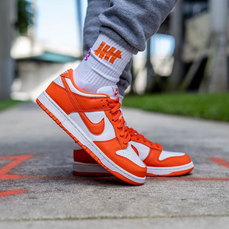 Nike Sb Dunk Low Sp Syracuse Orange Blaze Cu1726 101 On Feet (1) - newkick.app