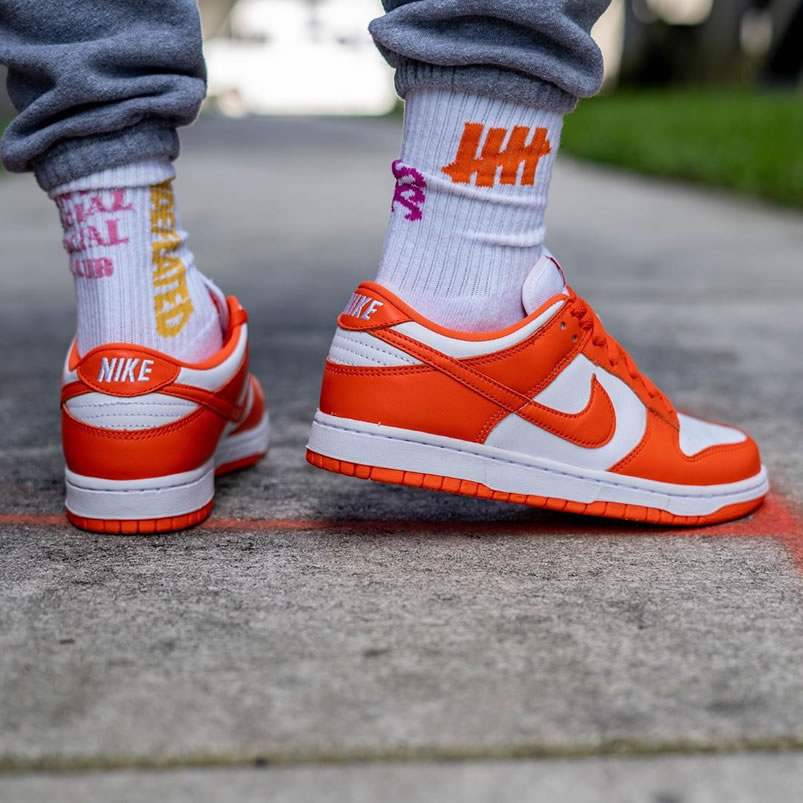 Nike Sb Dunk Low Sp Syracuse Orange Blaze Cu1726 101 On Feet (5) - newkick.app