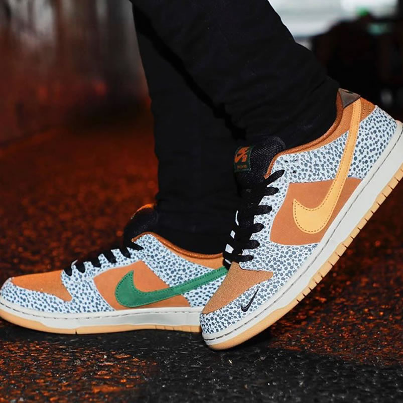 Nike Sb Dunk Low Safari On Feet Cd2563 002 (1) - newkick.app