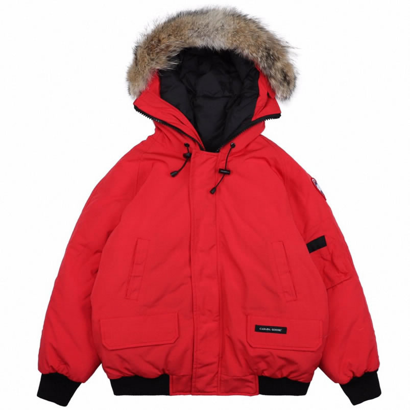 01 Canada Goose 19fw Pbi Chilliwack 7999mpb Down Jacket Coat Red (1) - newkick.app