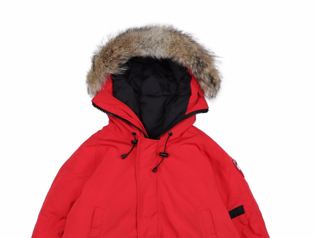 01 Canada Goose 19fw Pbi Chilliwack 7999mpb Down Jacket Coat Red (3) - newkick.app