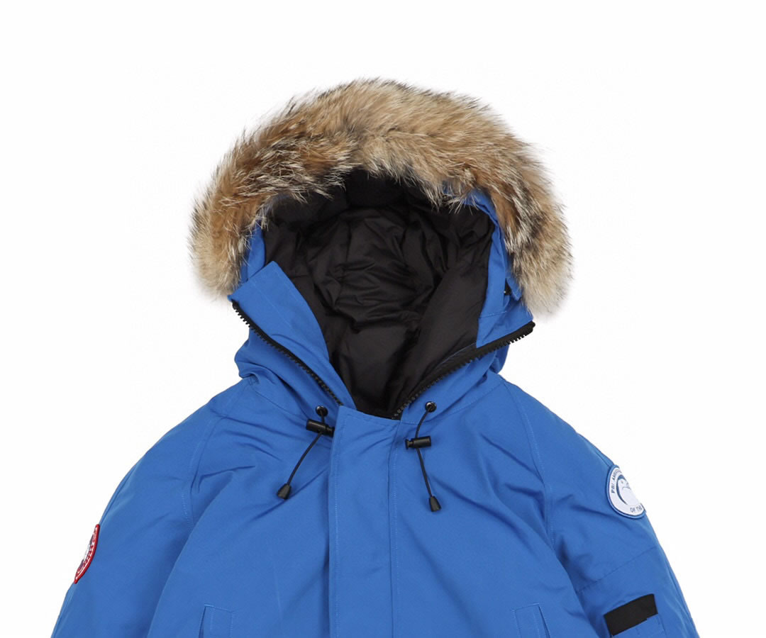 01 Canada Goose 19fw Pbi Chilliwack 7999mpb Down Jacket Coat Sky Blue (3) - newkick.app