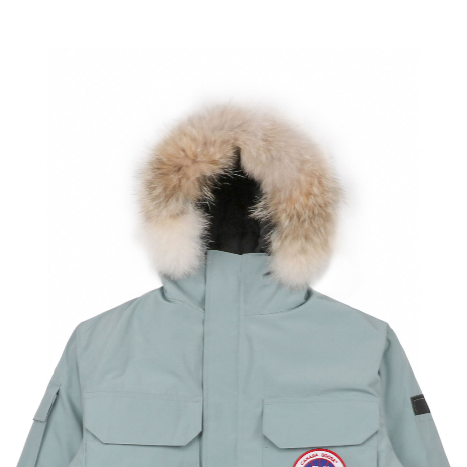 08 Canada Goose 19fw Expedition 4660ma Down Jacket Coat Cyan (3) - newkick.app