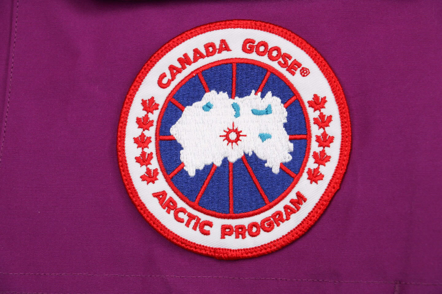 08 Canada Goose 19fw Expedition 4660ma Down Jacket Coat Purple (5) - newkick.app