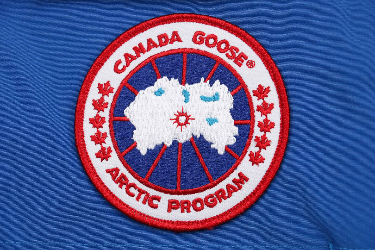 08 Canada Goose 19fw Expedition 4660ma Down Jacket Coat Sky Blue (6) - newkick.app