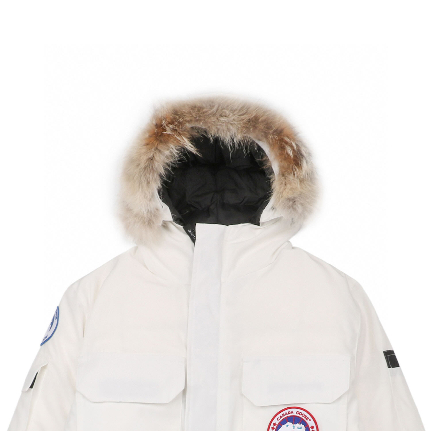 08 Canada Goose 19fw Expedition 4660ma Down Jacket Coat White (5) - newkick.app