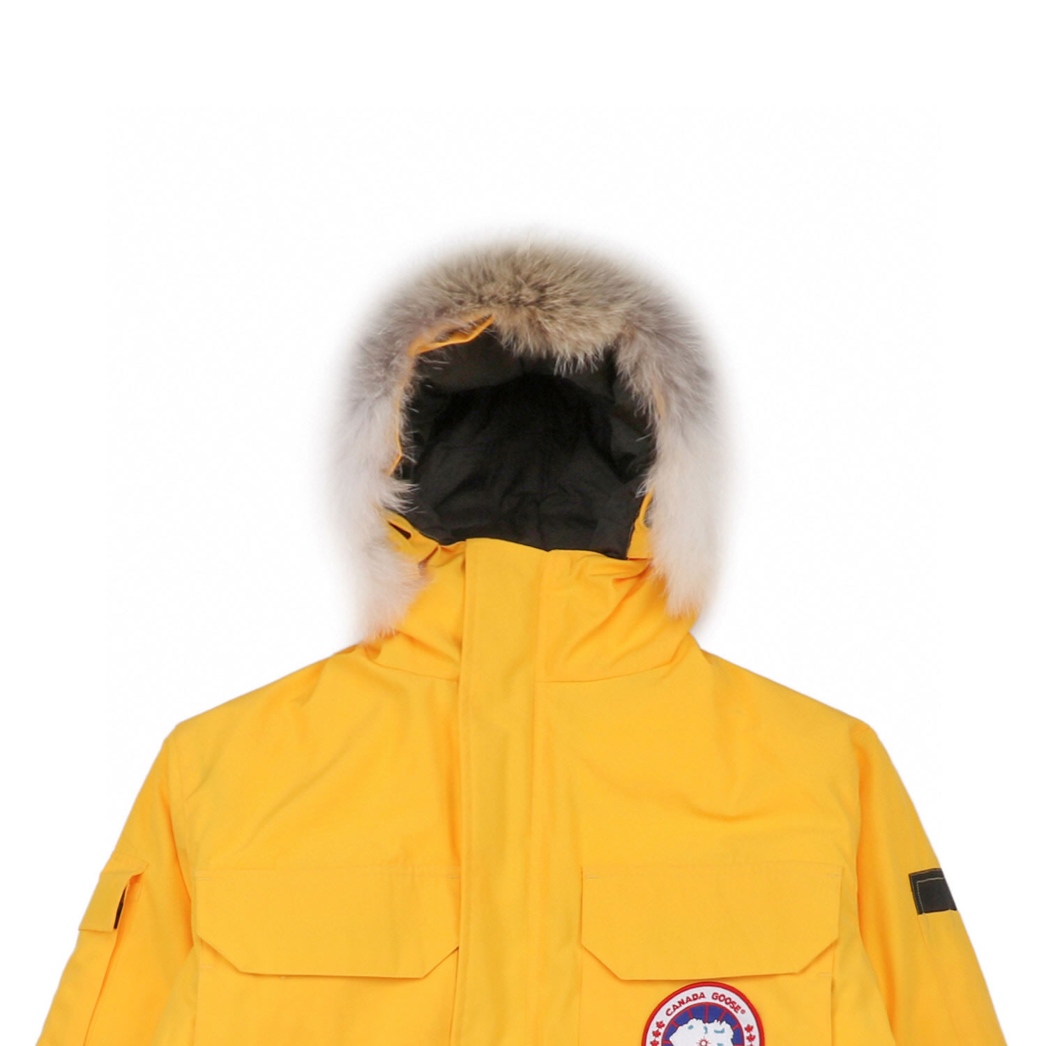 08 Canada Goose 19fw Expedition 4660ma Down Jacket Coat Yellow (4) - newkick.app