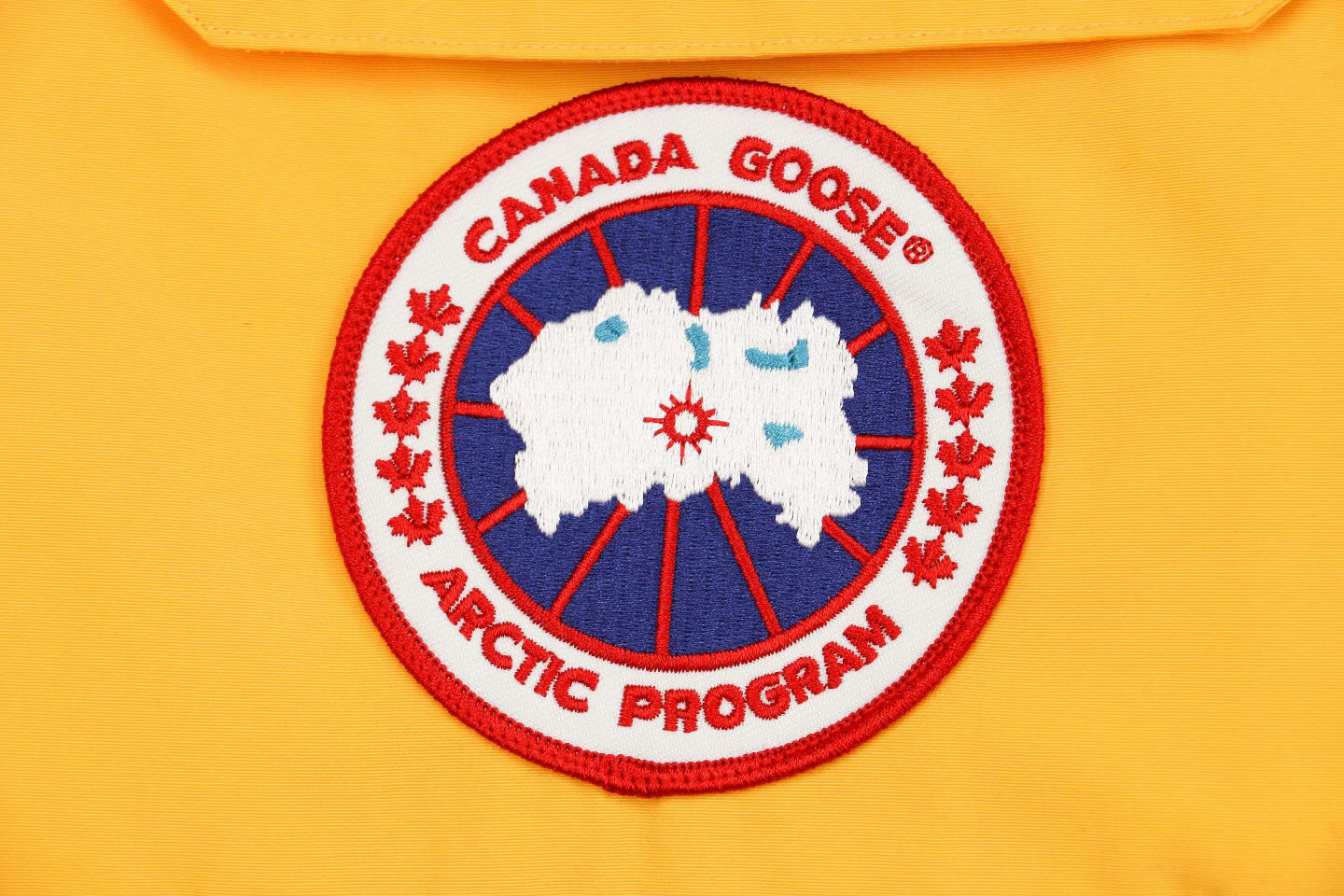 08 Canada Goose 19fw Expedition 4660ma Down Jacket Coat Yellow (7) - newkick.app