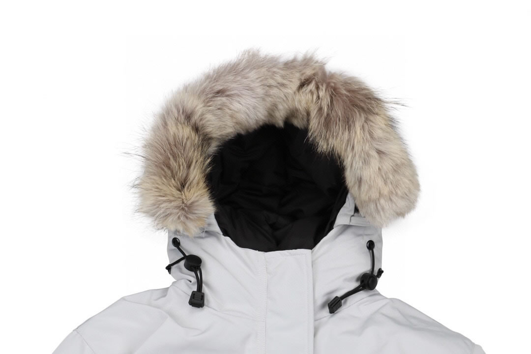 09 Canada Goose 19fw Expedition 4660la Down Jacket Coat Silver White (8) - newkick.app