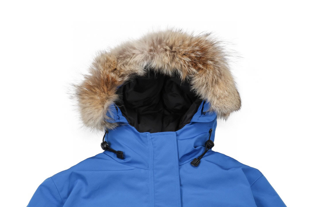 09 Canada Goose 19fw Expedition 4660la Down Jacket Coat Sky Blue (4) - newkick.app