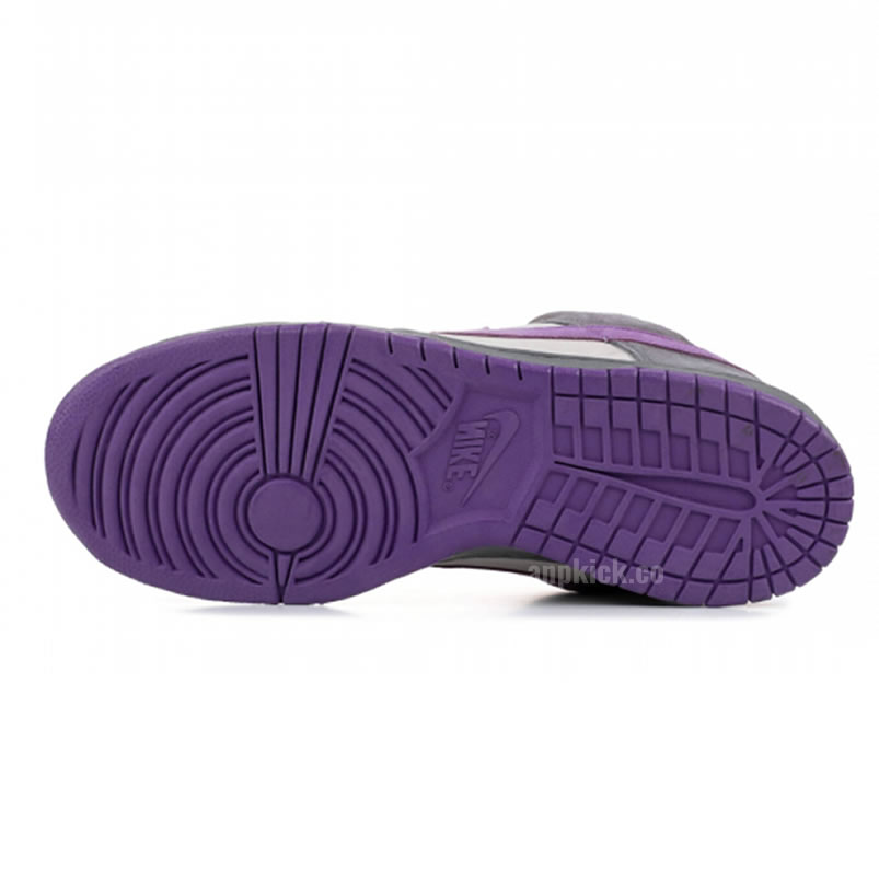 Nike Dunk Sb Low Purple Pigeon 304292 051 (5) - newkick.app