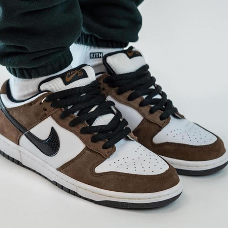 Nike Sb Dunk Low Trail End Brown Black White On Feet 304292 102 (1) - newkick.app