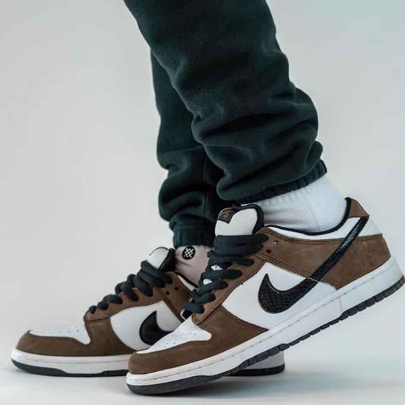 Nike Sb Dunk Low Trail End Brown Black White On Feet 304292 102 (3) - newkick.app