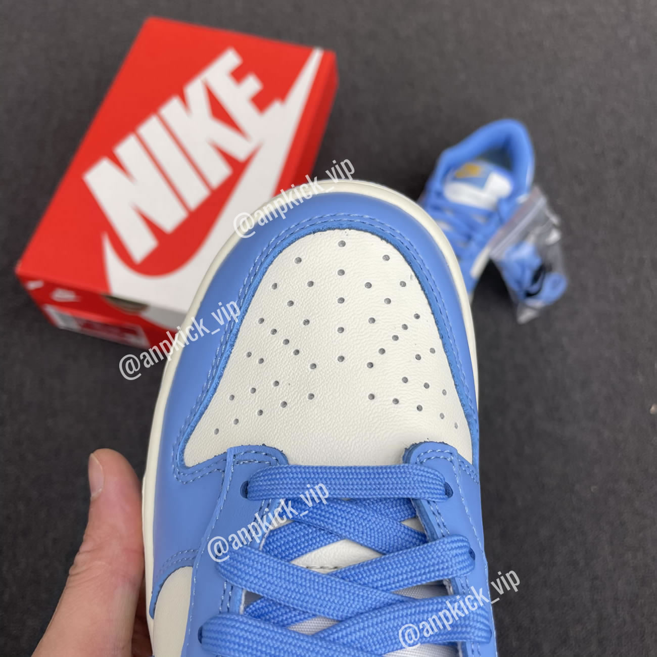 Nike Dunk Low Coast Dd1503 100 (10) - newkick.app