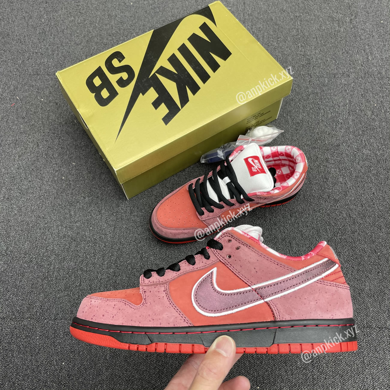 Anpkick Nike Sb Dunk Low Concepts Red Lobster 313170 661 (2) - newkick.app