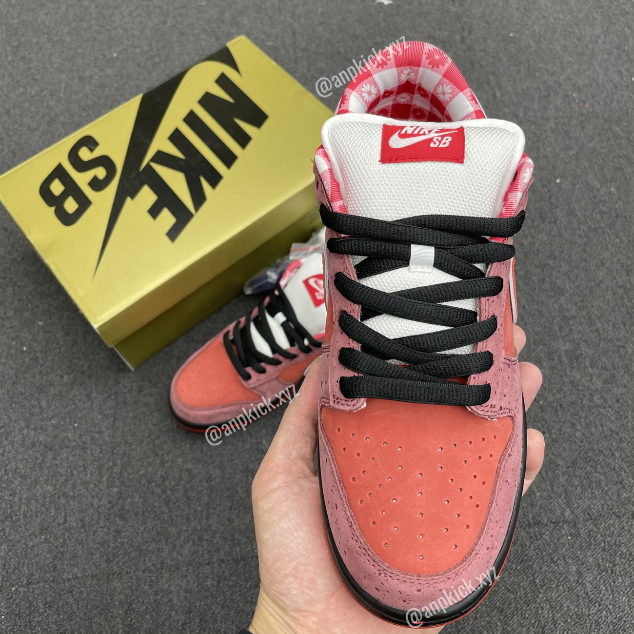 Anpkick Nike Sb Dunk Low Concepts Red Lobster 313170 661 (5) - newkick.app