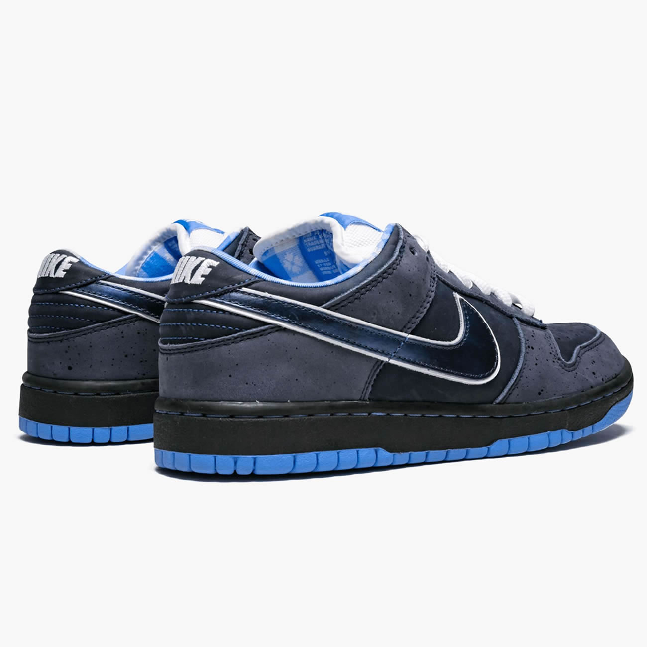 Nike Sb Dunk Low Concepts Bluelobster 313170 342 (3) - newkick.app