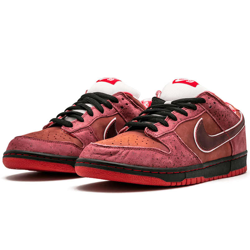 Nike Sb Dunk Low Concepts Red Lobster 313170 661 (2) - newkick.app