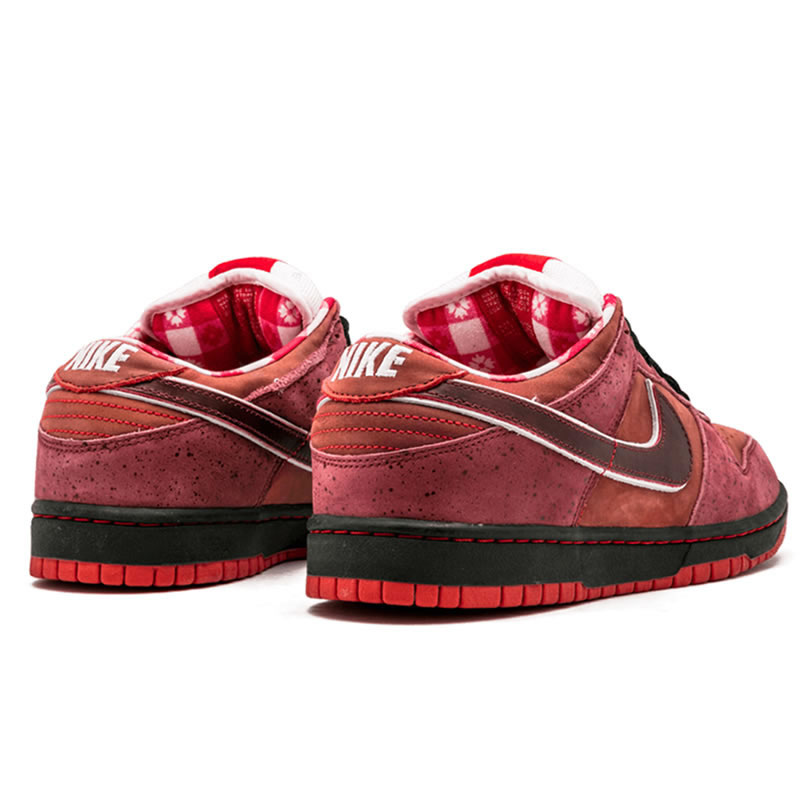 Nike Sb Dunk Low Concepts Red Lobster 313170 661 (3) - newkick.app