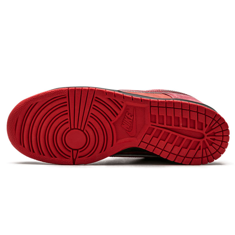 Nike Sb Dunk Low Concepts Red Lobster 313170 661 (4) - newkick.app