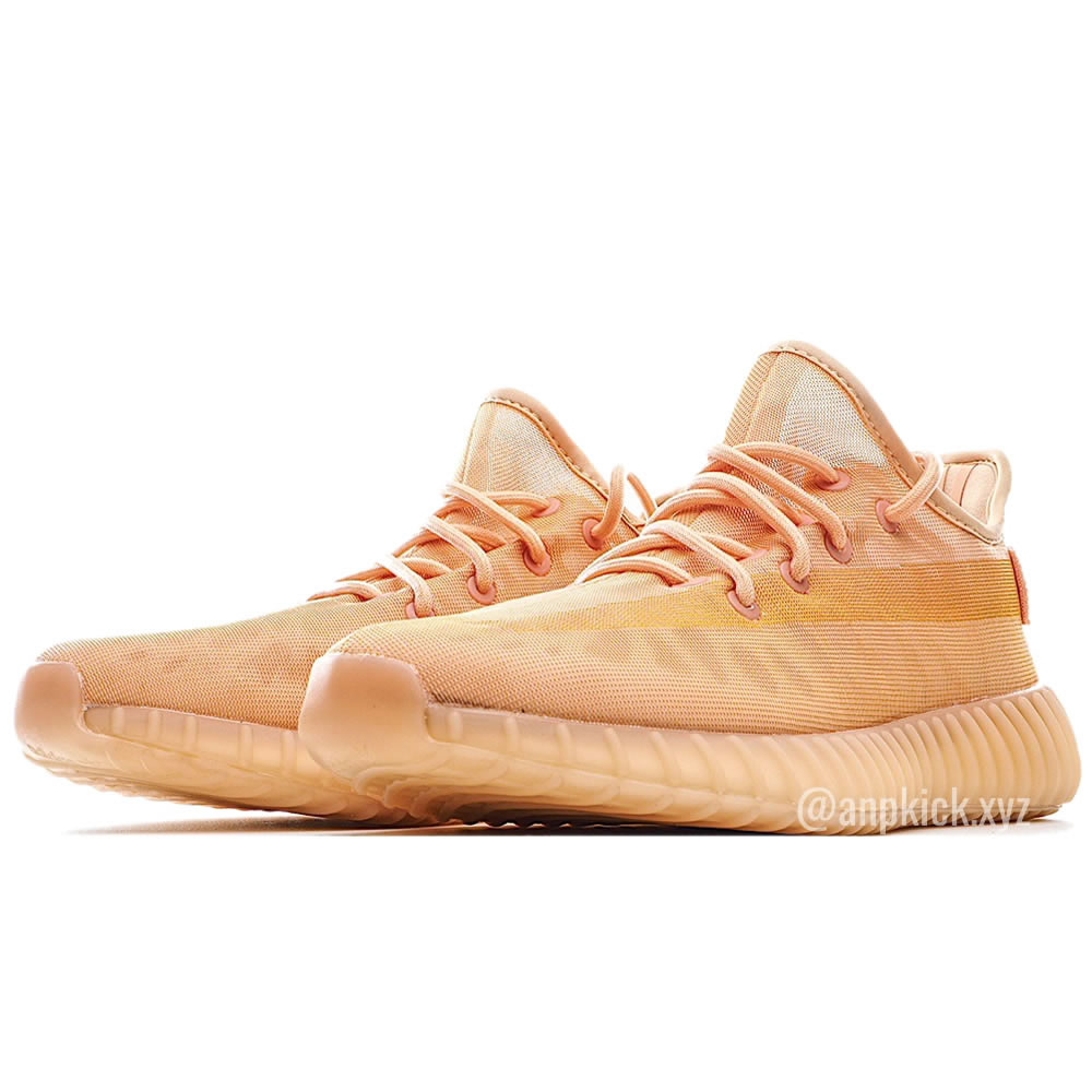 Adidas Yeezy Boost 350 V2 Mono Clay 2021 Gw2870 (3) - newkick.app