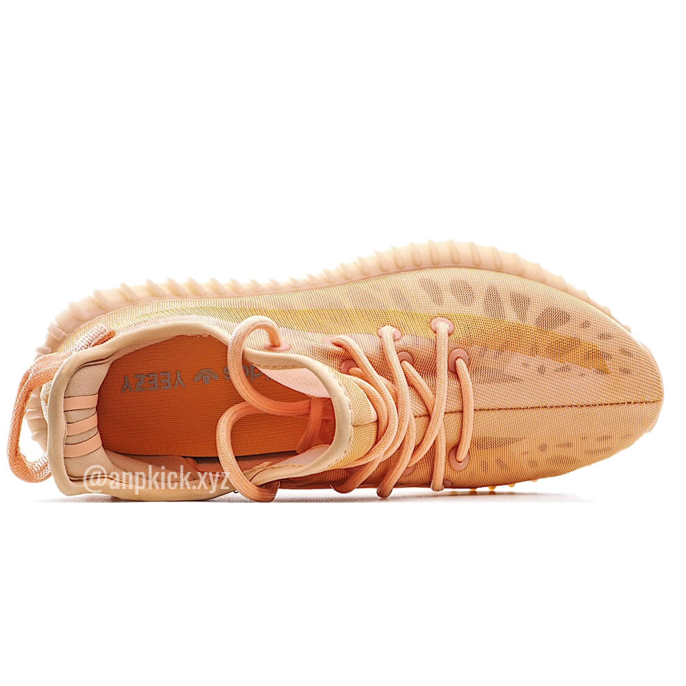 Adidas Yeezy Boost 350 V2 Mono Clay 2021 Gw2870 (5) - newkick.app