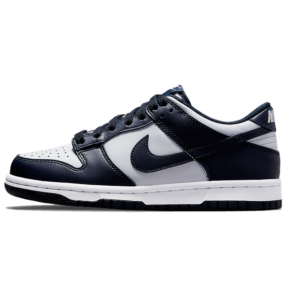 Nike Dunk Low Georgetown Dd1391 003 (1) - newkick.app