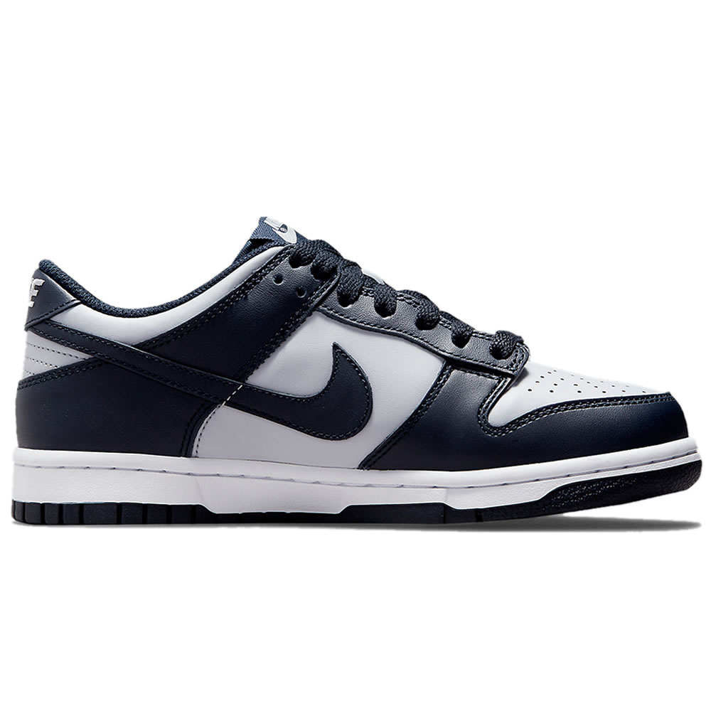 Nike Dunk Low Georgetown Dd1391 003 (2) - newkick.app