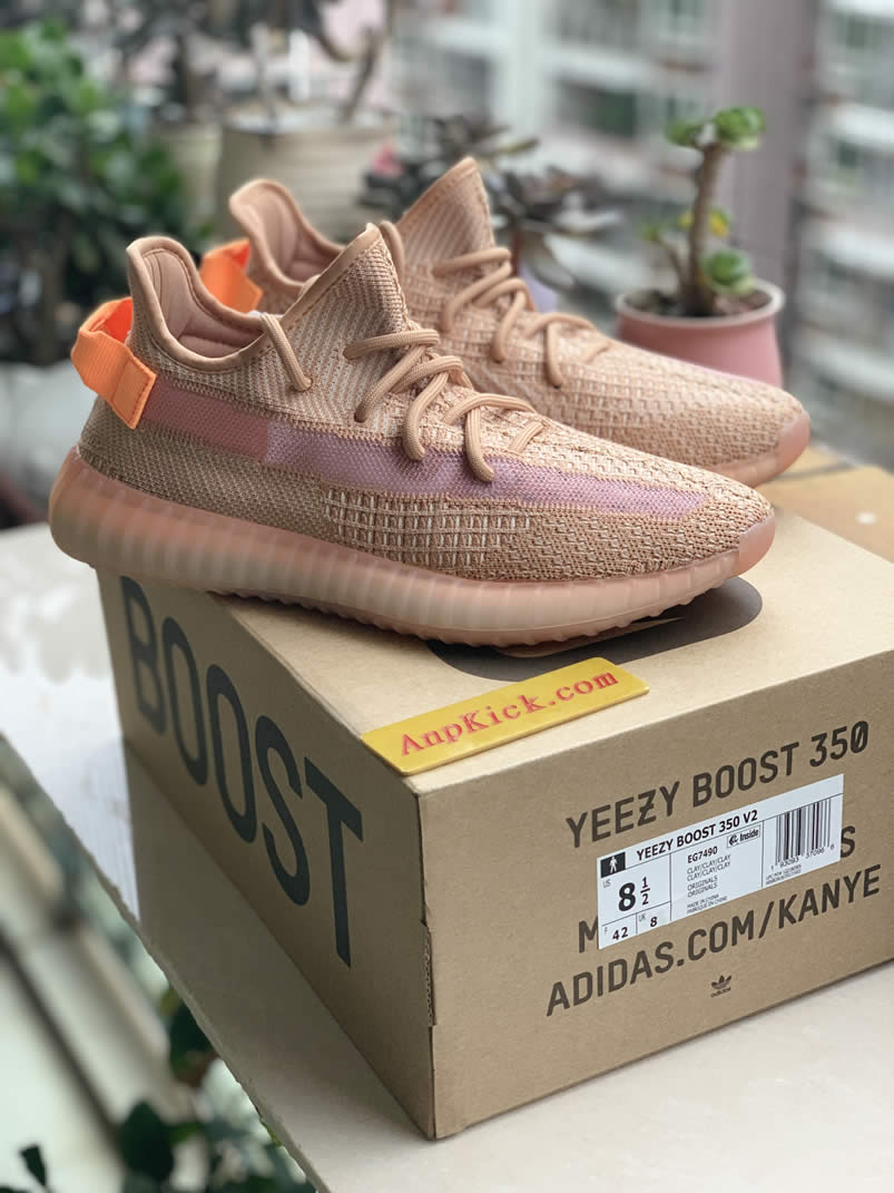 Adidas Yeezy Boost 350 V2 Clay 2019 For Sale Anpkick Release Date Eg7490 (1) - newkick.app