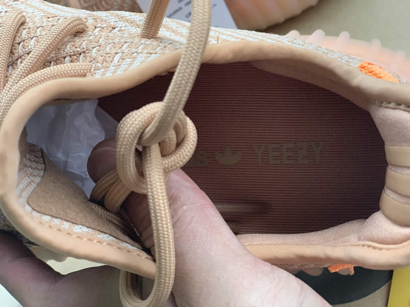 Adidas Yeezy Boost 350 V2 Clay 2019 For Sale Anpkick Release Date Eg7490 (11) - newkick.app