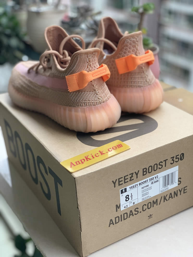 Adidas Yeezy Boost 350 V2 Clay 2019 For Sale Anpkick Release Date Eg7490 (2) - newkick.app