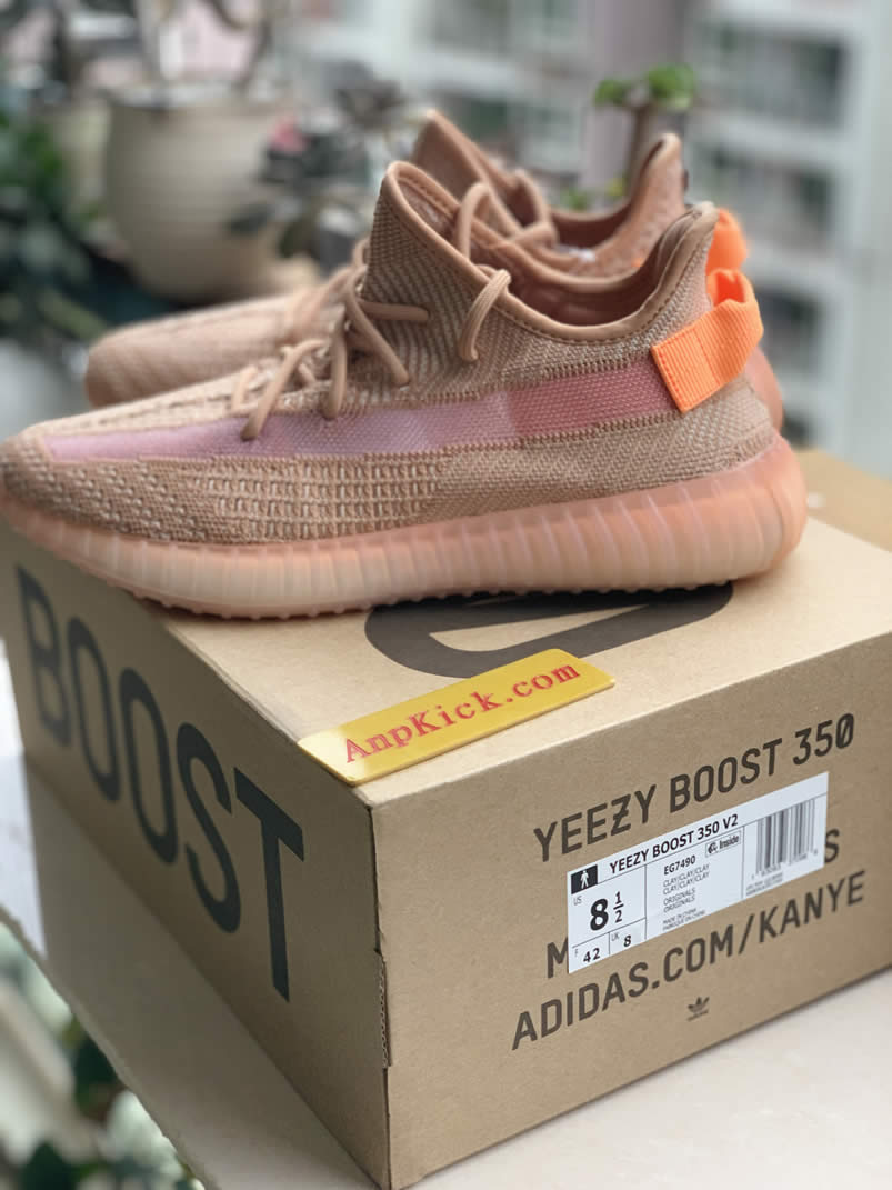 Adidas Yeezy Boost 350 V2 Clay 2019 For Sale Anpkick Release Date Eg7490 (3) - newkick.app