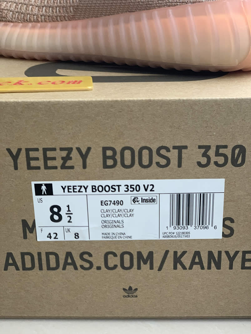 Adidas Yeezy Boost 350 V2 Clay 2019 For Sale Anpkick Release Date Eg7490 (4) - newkick.app