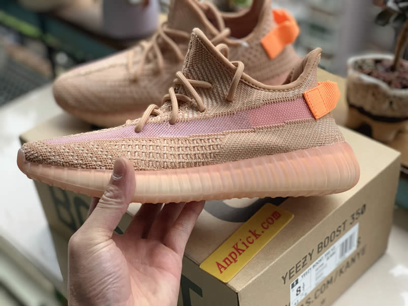 Adidas Yeezy Boost 350 V2 Clay 2019 For Sale Anpkick Release Date Eg7490 (6) - newkick.app