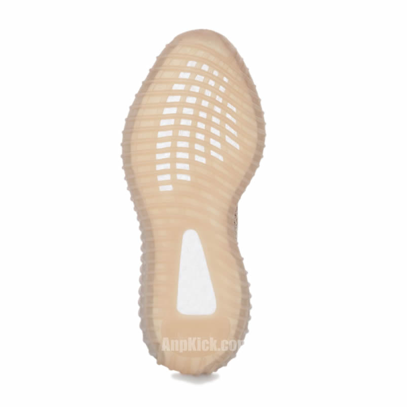 Adidas Yeezy Boost 350 V2 Clay 2019 For Sale Release Date Eg7490 (5) - newkick.app