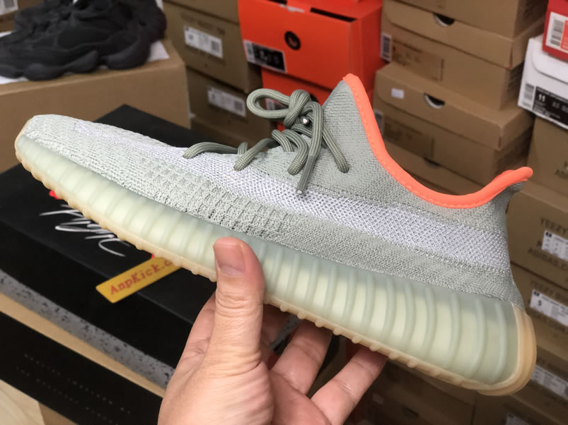 Adidas Yeezy Boost 350 V2 Desert Sage Anpkick Release Date Fx9035 (4) - newkick.app