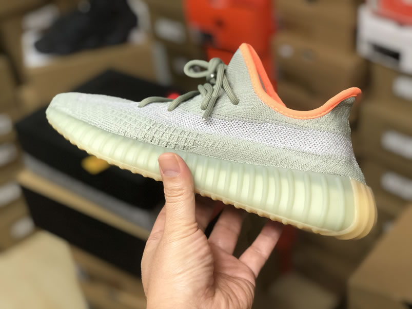 Adidas Yeezy Boost 350 V2 Desert Sage Anpkick Release Date Fx9035 (5) - newkick.app