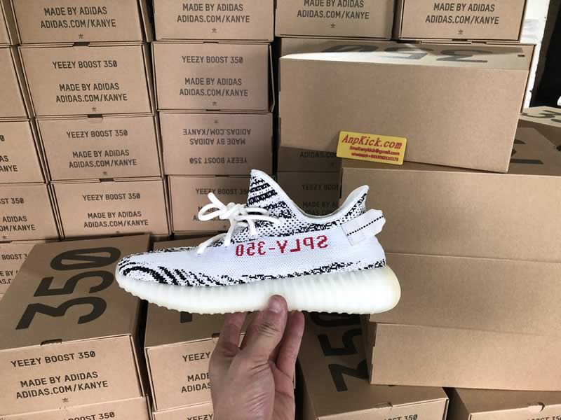 Yeezy Zebra Store (1)