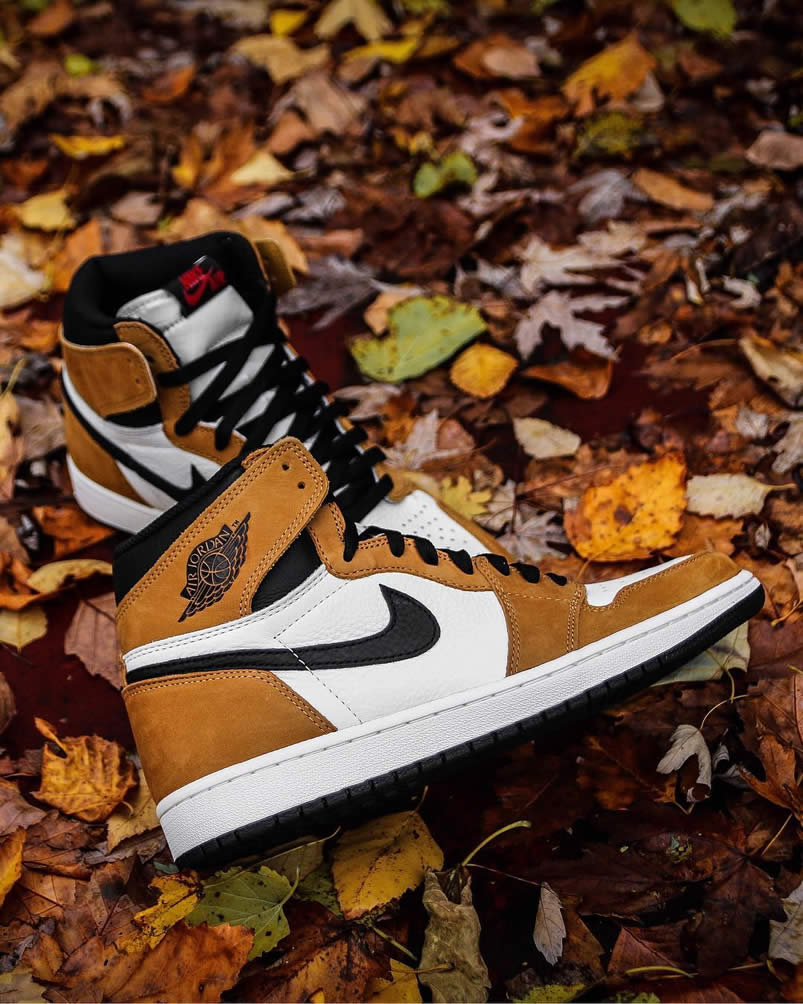 Air Jordan 1 'Rookie Of The Year' Pics 555088-700