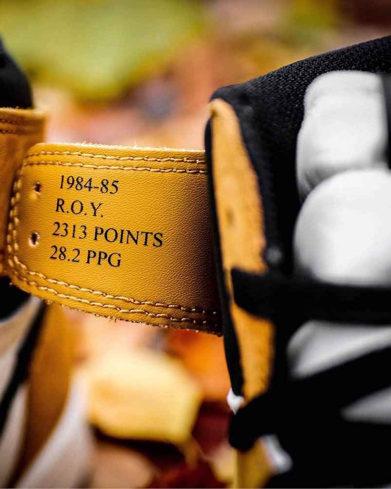 Air Jordan 1 'Rookie Of The Year' Pics 555088-700