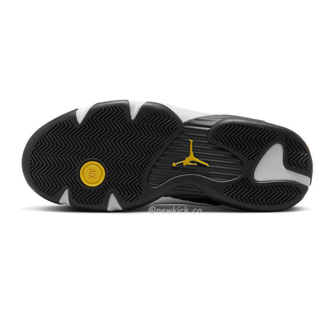 Air Jordan 14 Retro Laney 487471 407 (12) - newkick.app