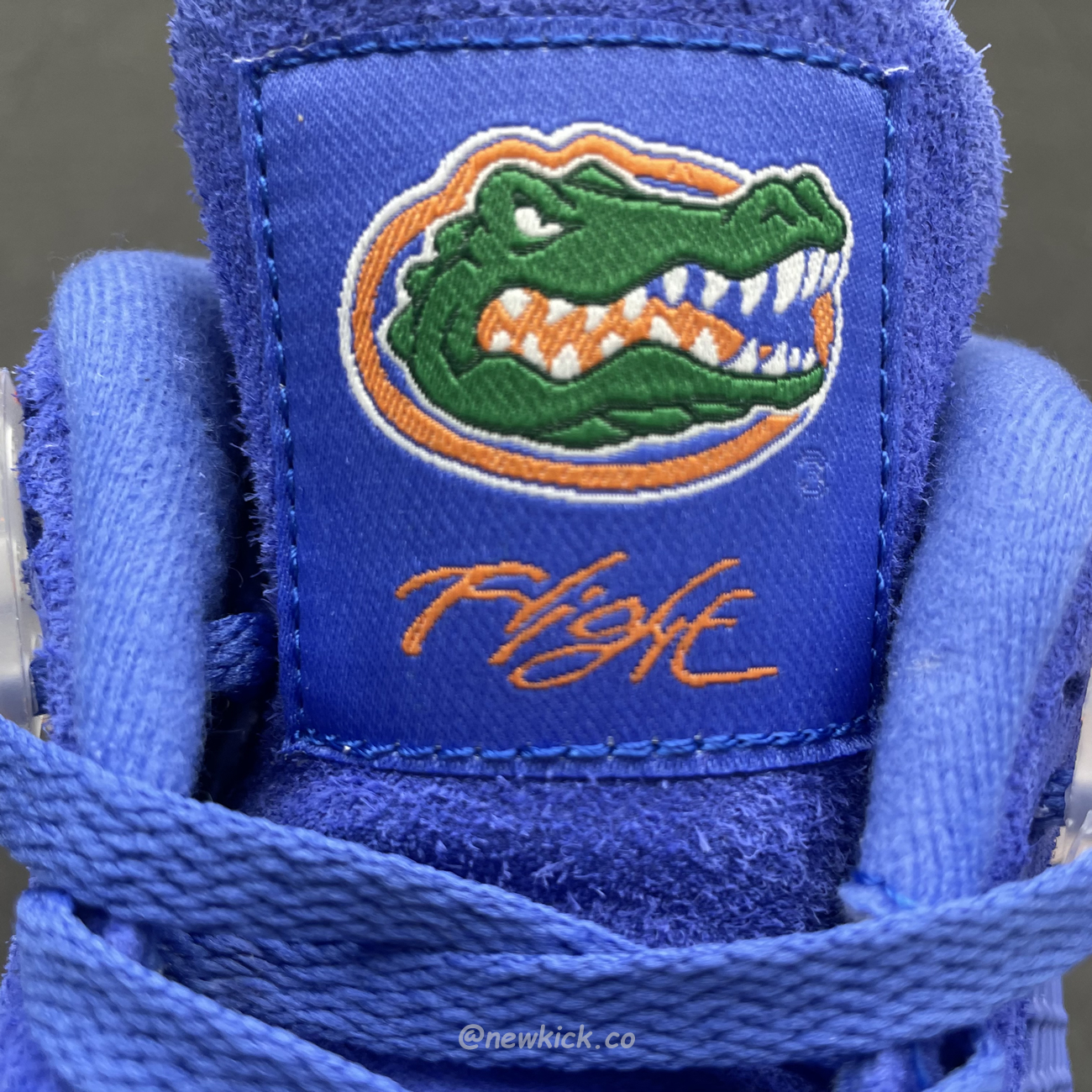 Air Jordan 4 Retro Florida Gators 904283 (5) - newkick.app