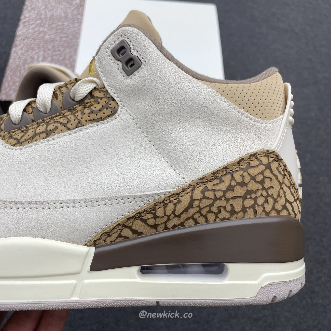 Air Jordan 3 Retro Palomino Ct8532 102 (9) - newkick.app