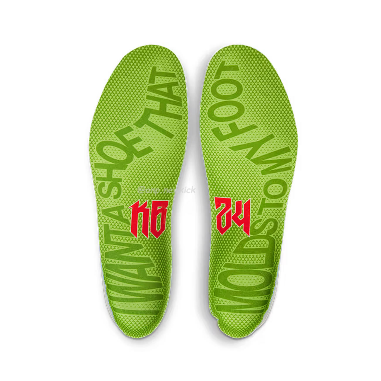 Nike Kobe 6 Protro Grinch 2020 Cw2190 300 (9) - newkick.app