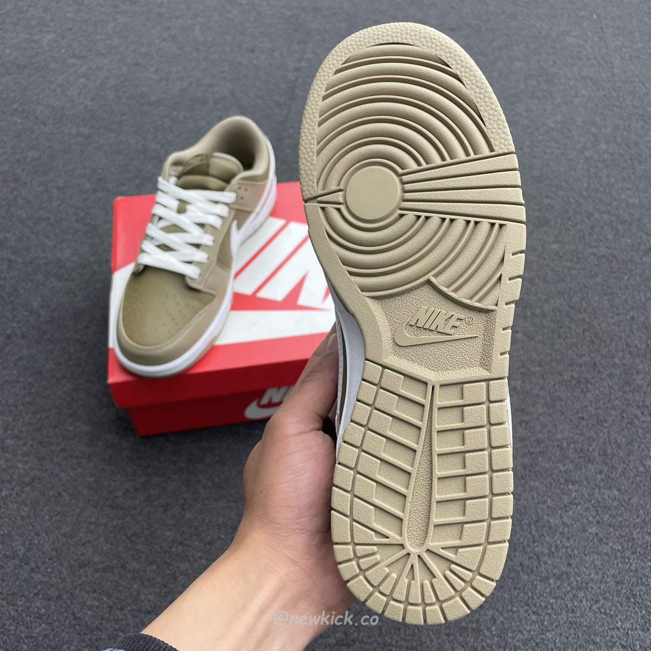 Nike Dunk Low Judge Grey Dj6188 200 (21) - newkick.app