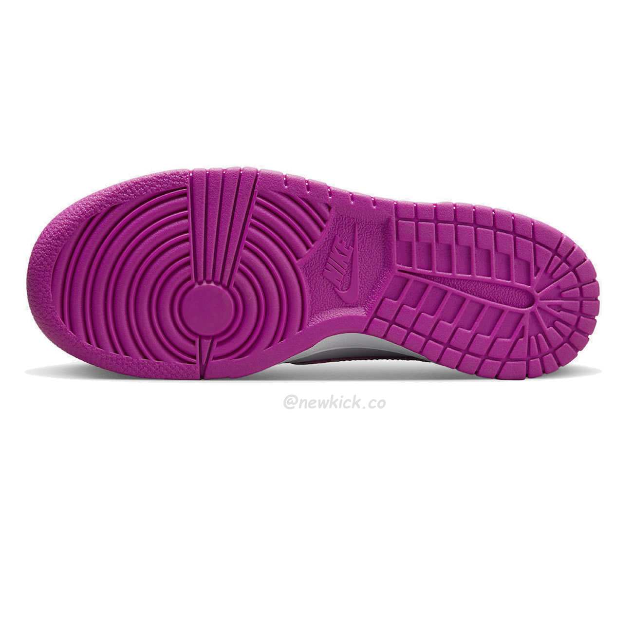 Nike Dunk Low Active Fuchsia Fj0704 100 (2) - newkick.app