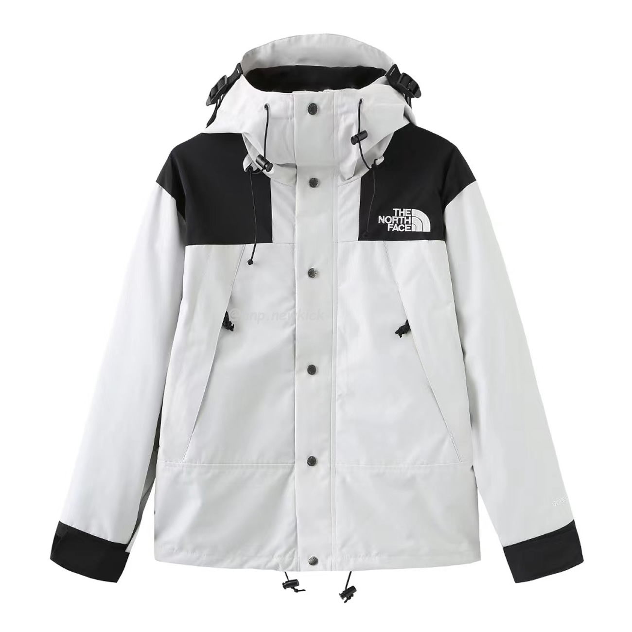 The North Face Retro 1986 Futurelight (1) - newkick.app