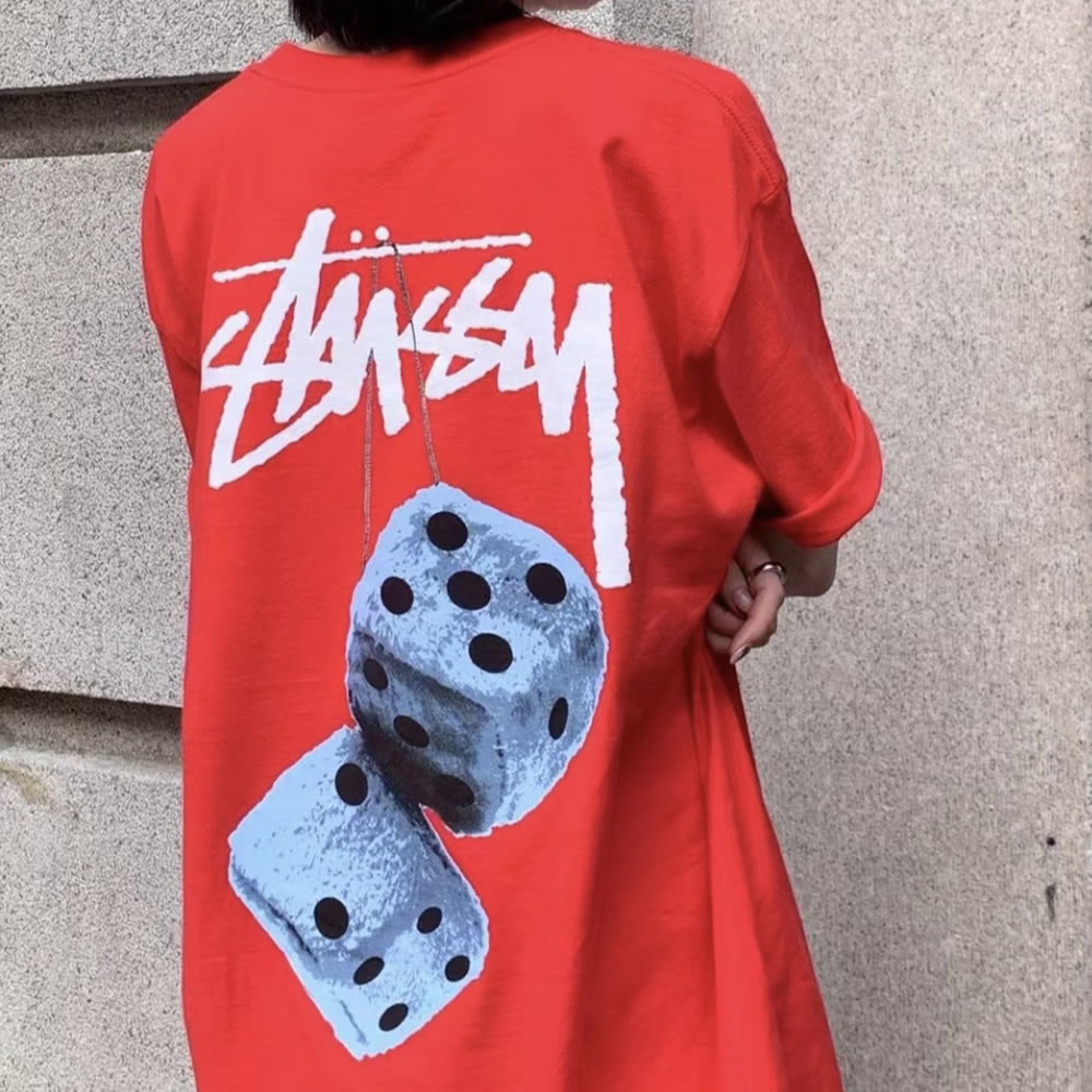 Stussy Fuzzy Dice Tee (1) - newkick.app