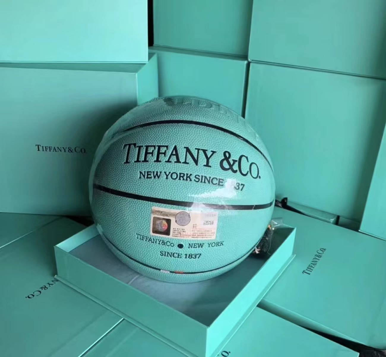 Tiffany X Cat Street X Spalding Basketball Tiffany Blue (2) - newkick.app