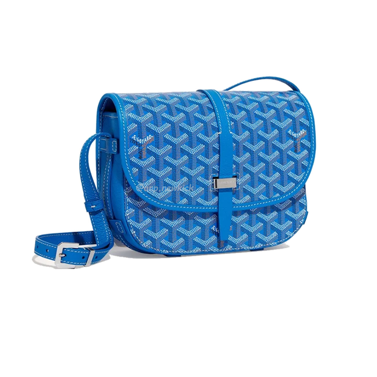 Goyard Belvedere Shoulder Bag (12) - newkick.app